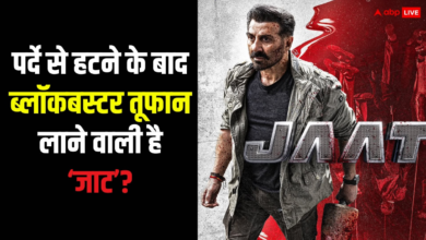 Photo of Jaat Box Office Collection: जाट हिट हुई या फ्लॉप? 25 दिन तक तहलका मचाने के बावजूद मेकर्स नुकसान में!